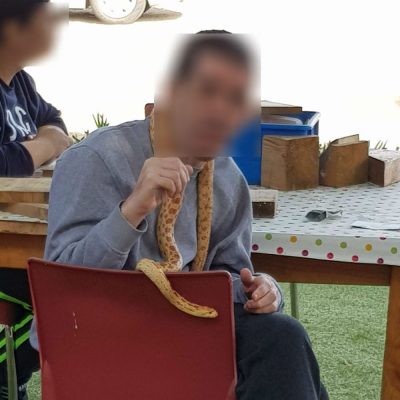 מעון רמים